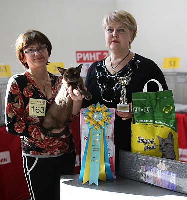 �������� ����� 11-12 ������ 2015 WCF-����� 1-163-169A5446 copy.jpg